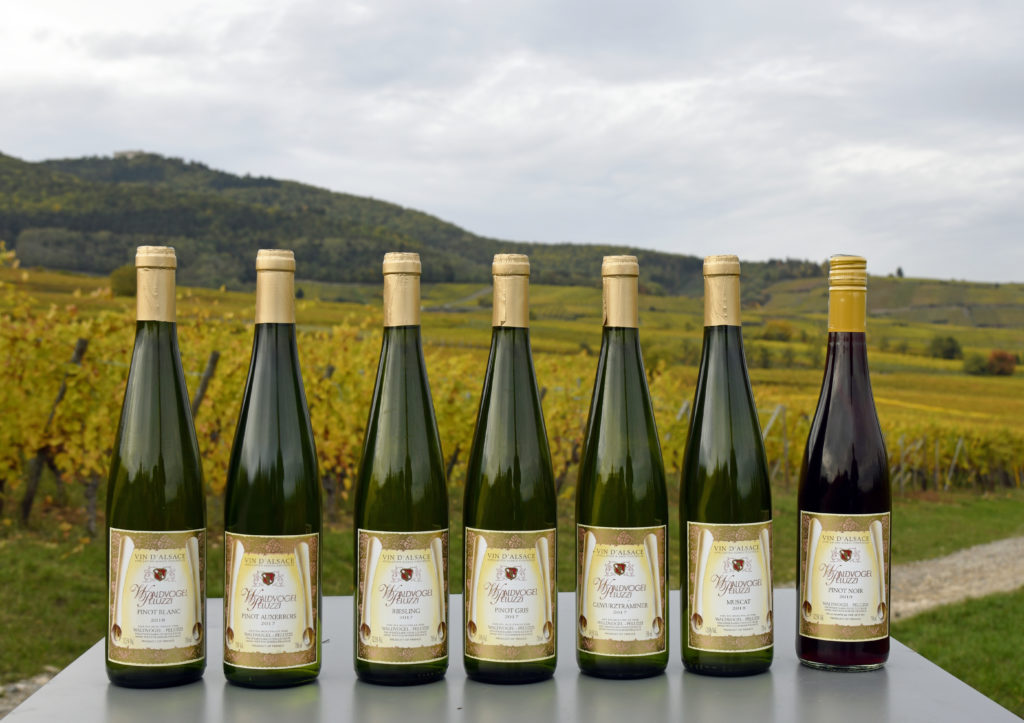 Vins Alsace