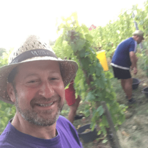 Tarifs Vins Alsace Vigneron dans les vignes