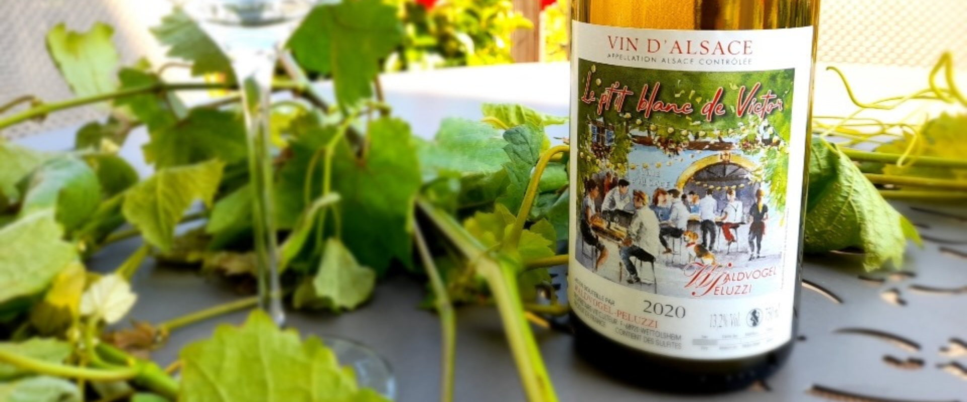 Le P'tit Blanc de Victor​ - Waldvogel Peluzzi